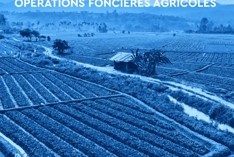 SAFER : ce que la loi du 18 août 2026 change concrètement pour les opérations foncières agricoles